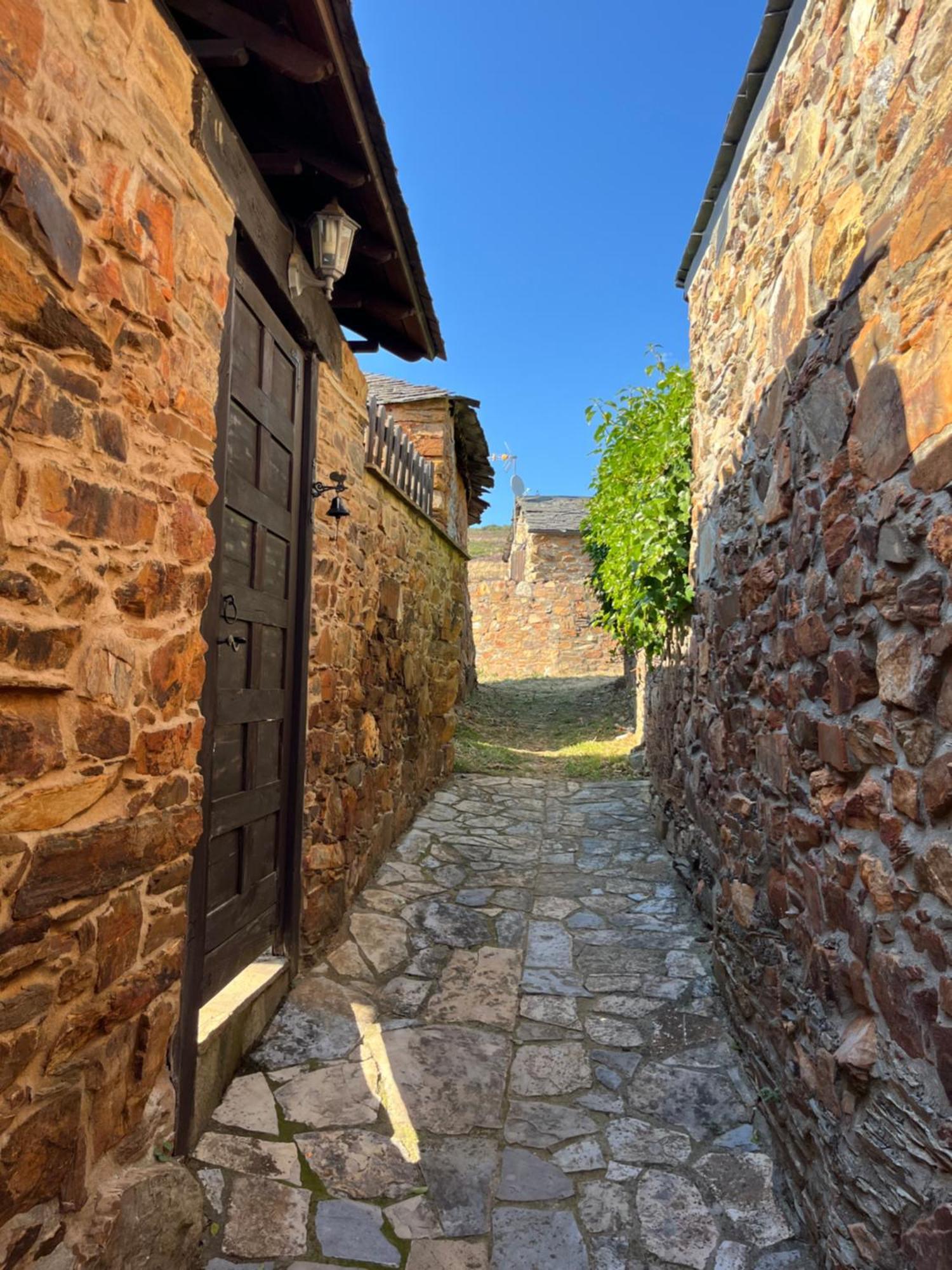 Villa La Casina De Gelo Riego de Ambros Exterior foto