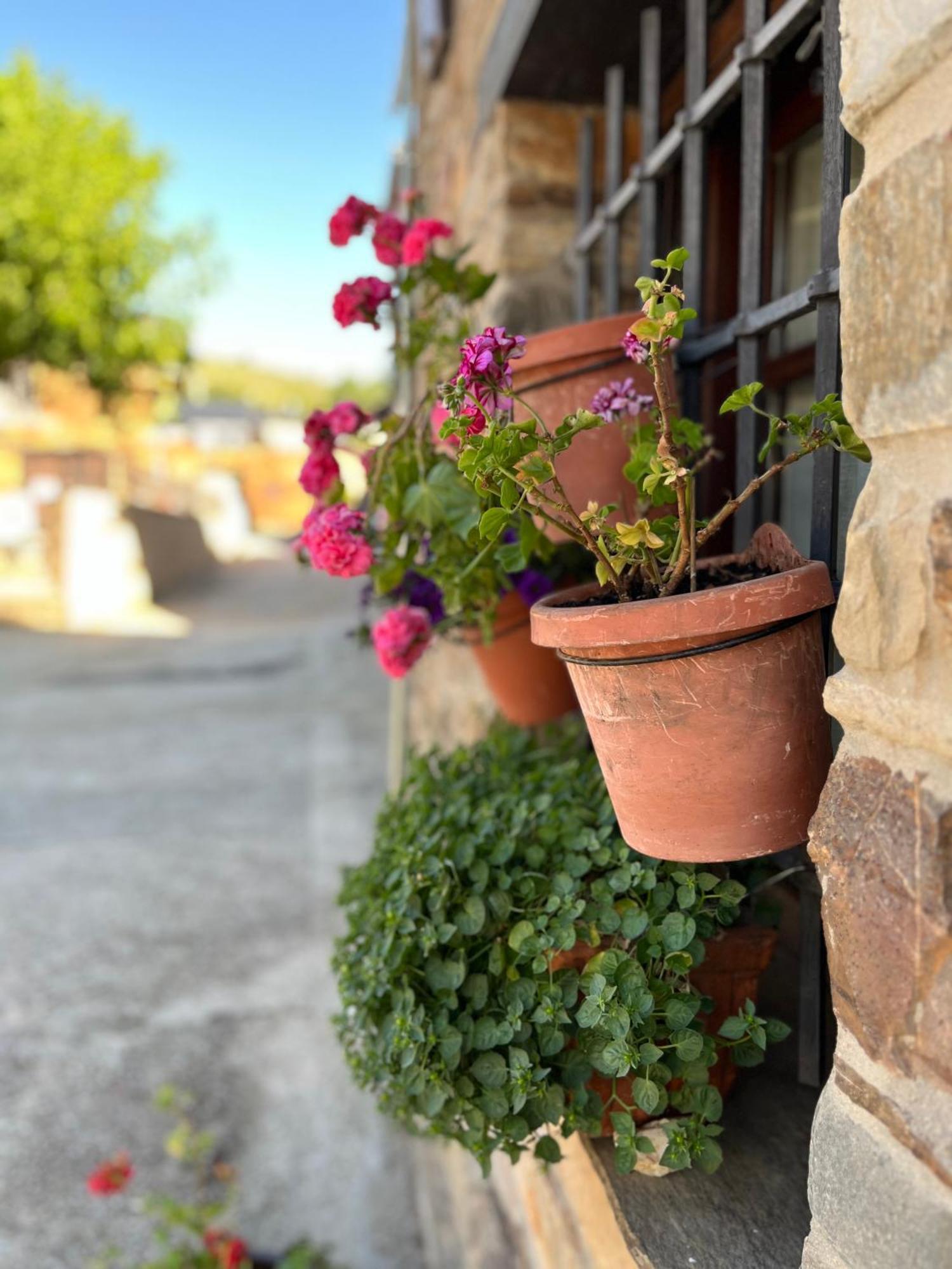 Villa La Casina De Gelo Riego de Ambros Exterior foto