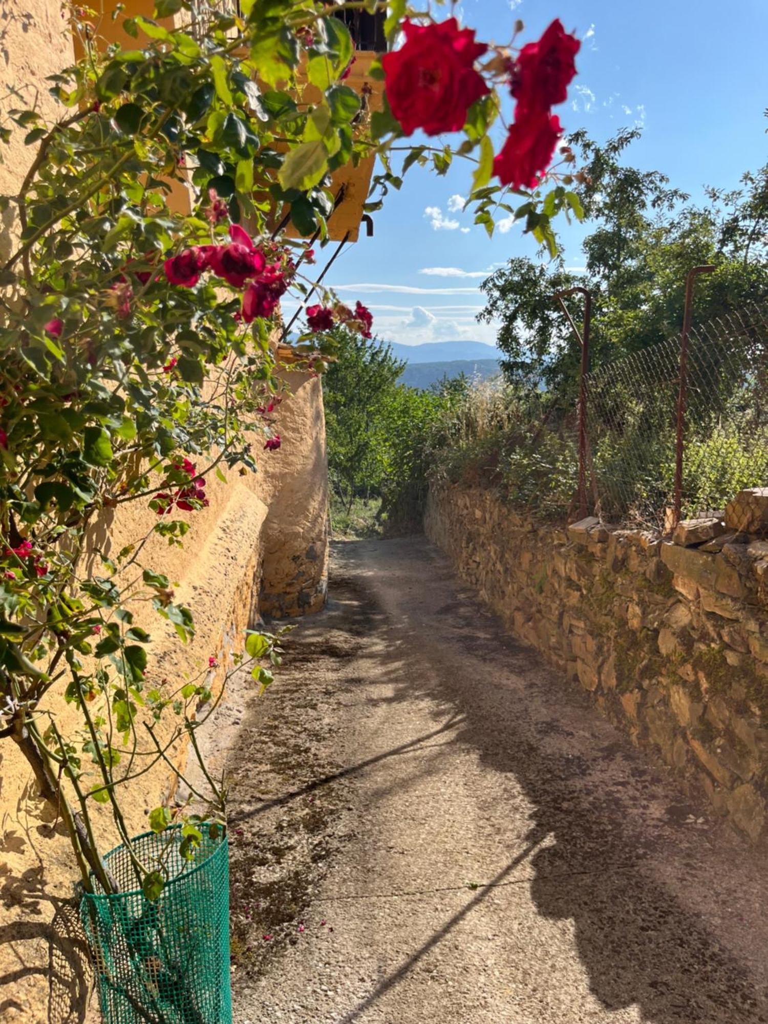 Villa La Casina De Gelo Riego de Ambros Exterior foto